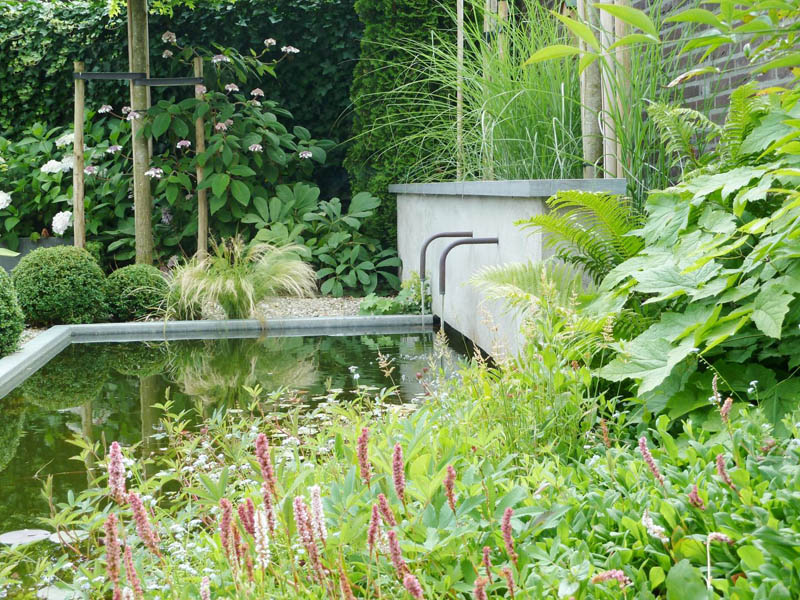 Achtertuin met waterspuwers